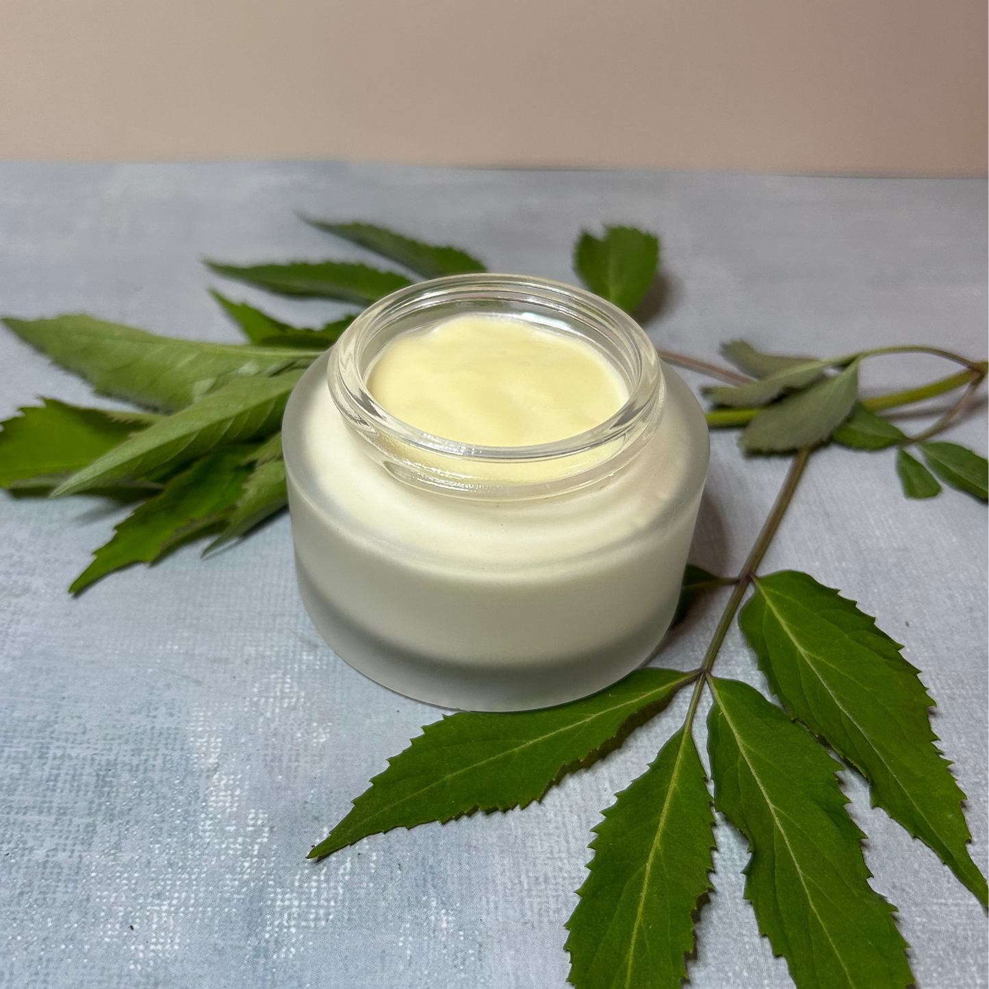Elderberry Renewal Lotion